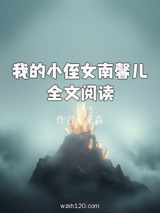 我的小侄女南馨儿全文阅读