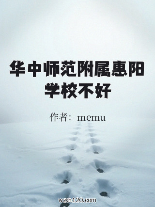 华中师范附属惠阳学校不好