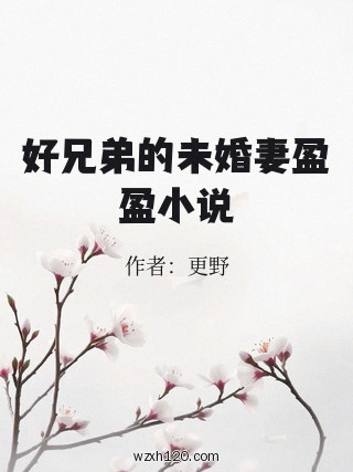 好兄弟的未婚妻盈盈小说