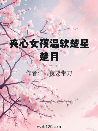 夹心女孩温软楚星楚月