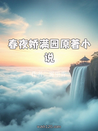 春夜娇满园原著小说