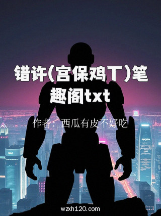 错许(宫保鸡丁)笔趣阁txt
