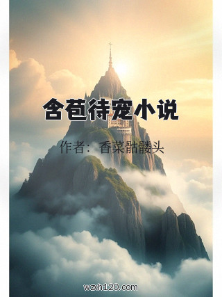 含苞待宠小说