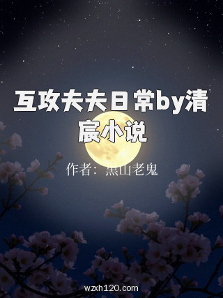 互攻夫夫日常by清宸小说