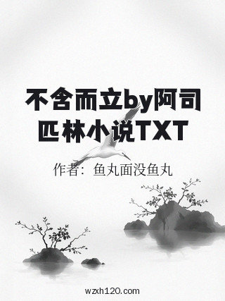 不含而立by阿司匹林小说TXT