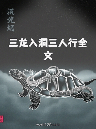 三龙入洞三人行全文