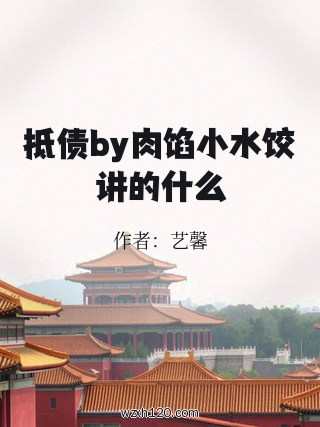 抵债by肉馅小水饺讲的什么