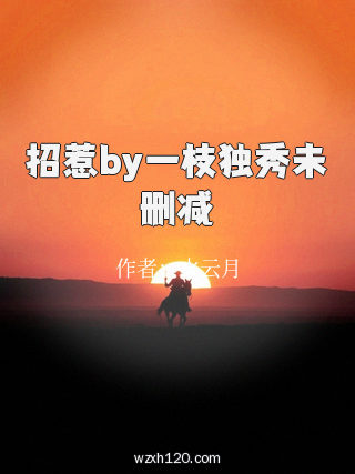 招惹by一枝独秀未删减