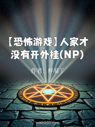 【恐怖游戏】人家才没有开外挂(NP)