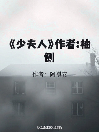《少夫人》作者:袖侧