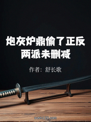 炮灰炉鼎偷了正反两派未删减