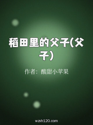 稻田里的父子(父子)