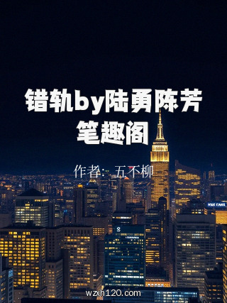 错轨by陆勇陈芳笔趣阁