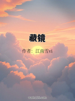 藏镜