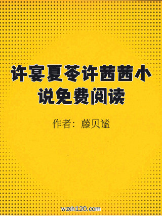 许宴夏苓许茜茜小说免费阅读