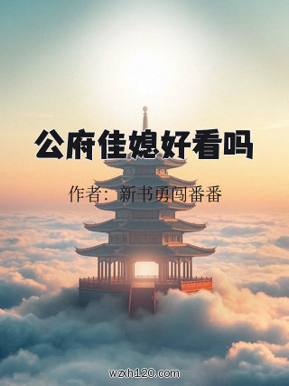 公府佳媳好看吗