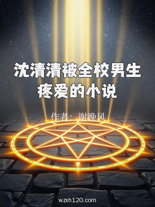 沈清清被全校男生疼爱的小说