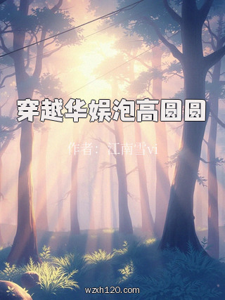穿越华娱泡高圆圆