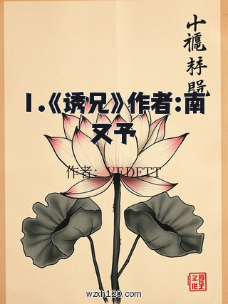 1.《诱兄》作者:南又予