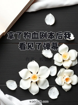 拿了狗血剧本后我看见了弹幕