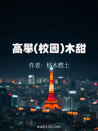 高攀(校园)木甜