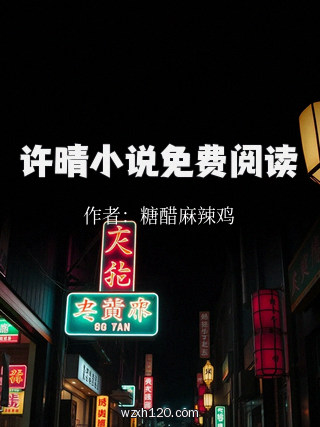 许晴小说免费阅读