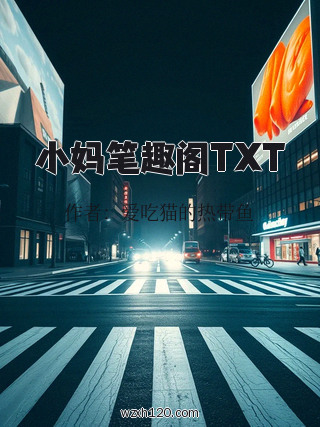 小妈笔趣阁TXT