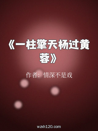 《一柱擎天杨过黄蓉》