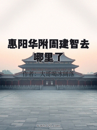 惠阳华附周建智去哪里了
