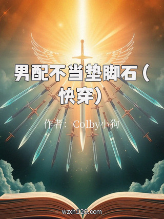 男配不当垫脚石(快穿)