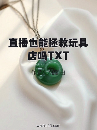 直播也能拯救玩具店吗TXT