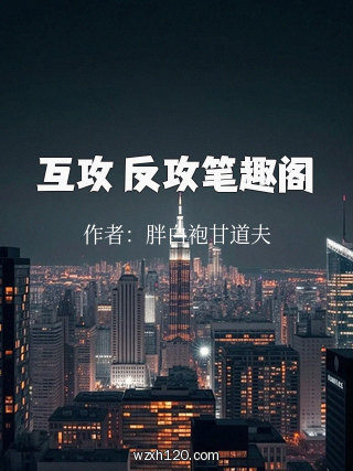 互攻 反攻笔趣阁
