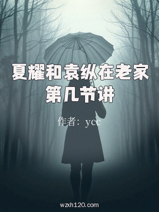 夏耀和袁纵在老家第几节讲