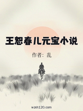 王恕春儿元宝小说