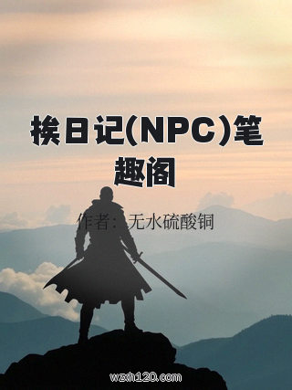 挨日记(NPC)笔趣阁