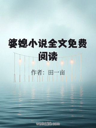 婆媳小说全文免费阅读