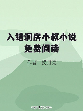 入错洞房小叔小说免费阅读