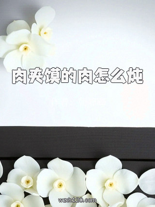 肉夹馍的肉怎么炖