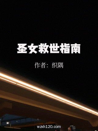 圣女救世指南