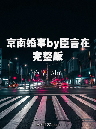 京南婚事by臣言在完整版