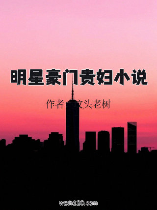 明星豪门贵妇小说
