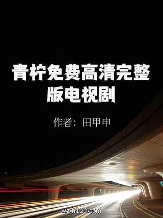 青柠免费高清完整版电视剧