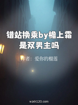 错站换乘by檐上霜是双男主吗