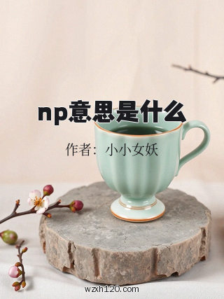 np意思是什么