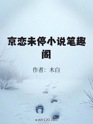 京恋未停小说笔趣阁