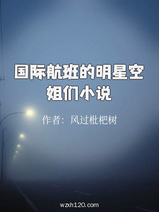 国际航班的明星空姐们小说