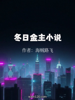 冬日金主小说