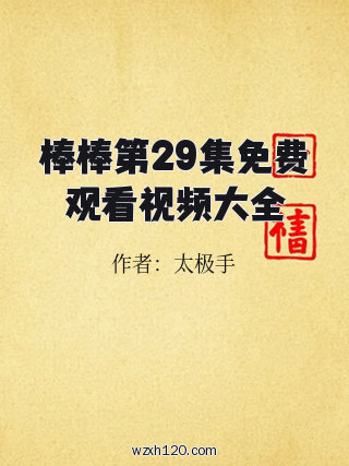 棒棒第29集免费观看视频大全