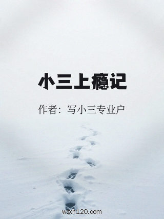 小三上瘾记