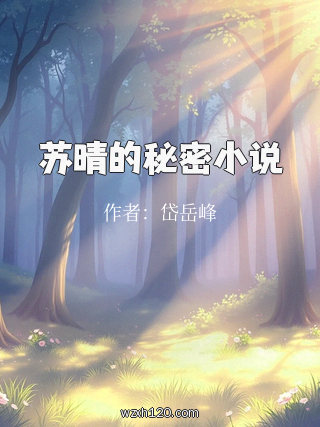 苏晴的秘密小说